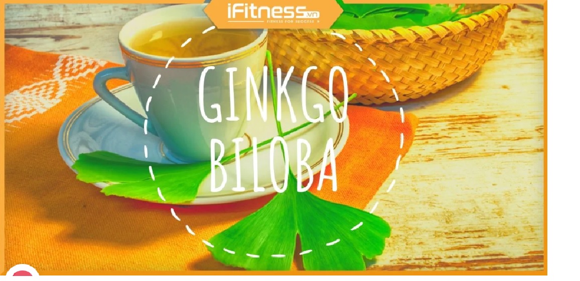 9 nguy cơ và tác dụng phụ đáng ngại của “bổ não” ginkgo biloba